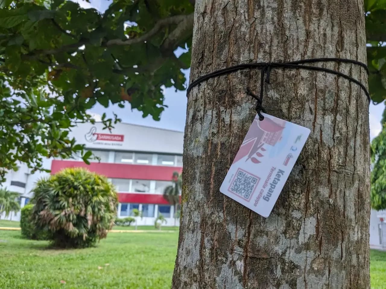 Penanda pohon berkode QR di Taman Kehati Prambanan